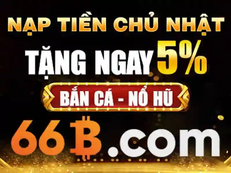 66B là gì?