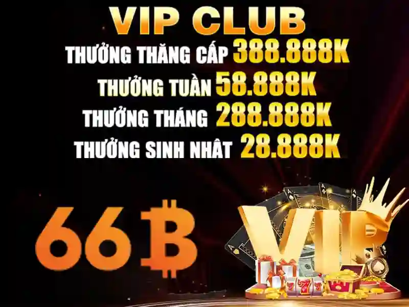 Trải nghiệm người dùng và phản hồi cộng đồng Trải nghiệm người dùng và phản hồi cộng đồng